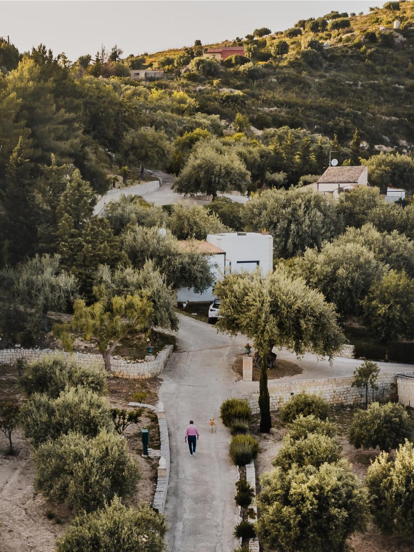 Tenuta Olive Alive Noto Room photo